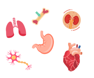 Transplant nurse agency work in Birmingham.